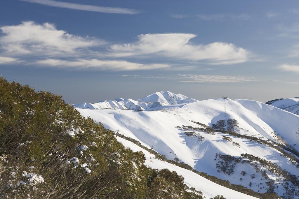 Sambuca Apartment Mount Hotham Ruang foto